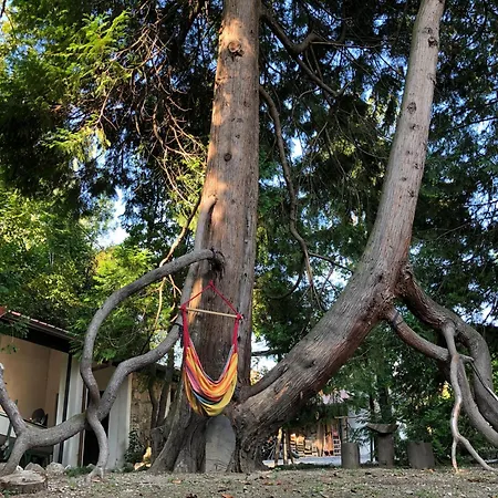 Vendégház Casa Della Gioia - Due Balconi Castelveccana